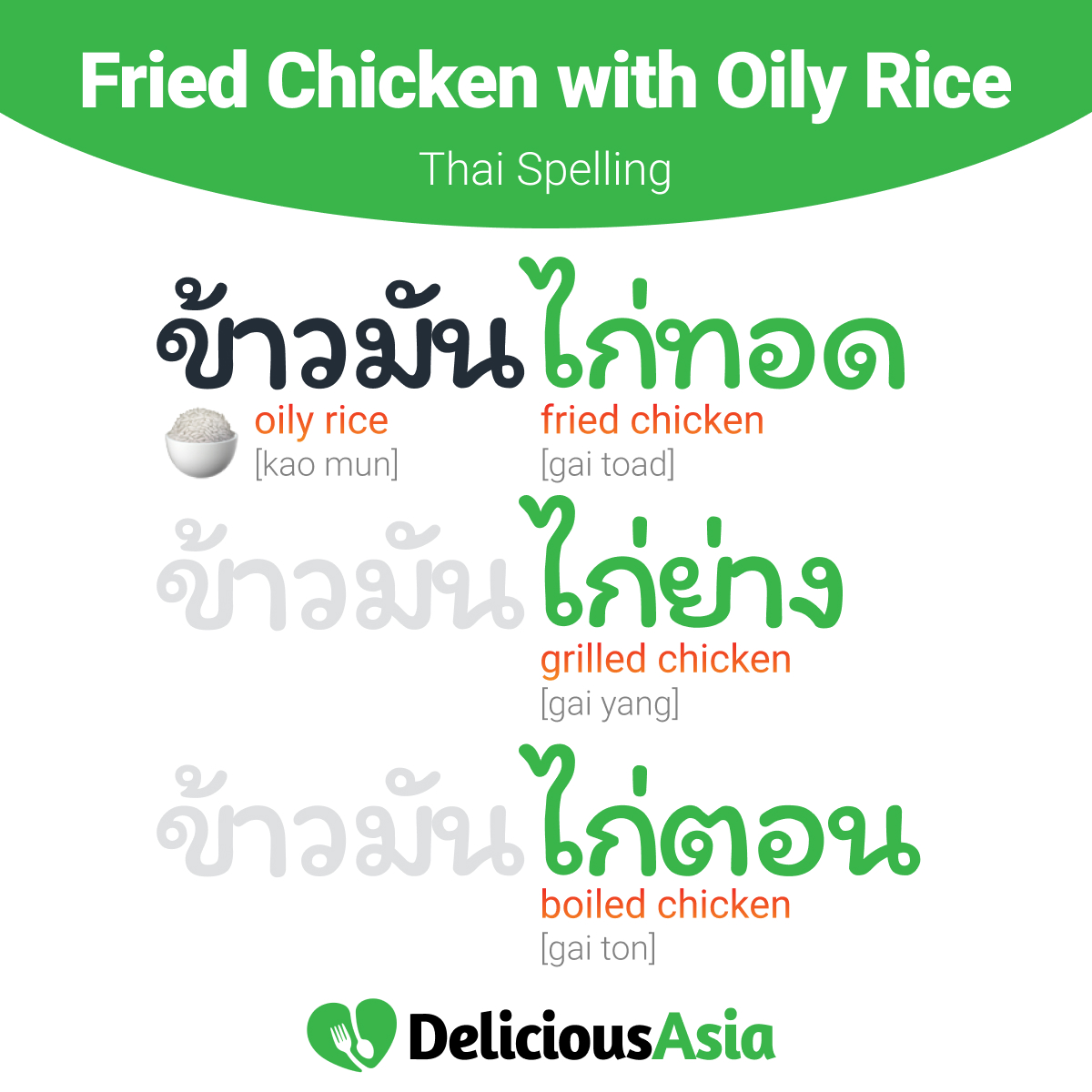 Fried Chicken with Oily Rice