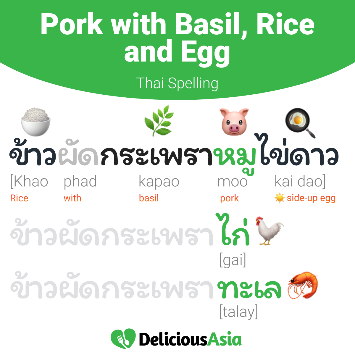 Rice with Thai Basil Pork and Egg