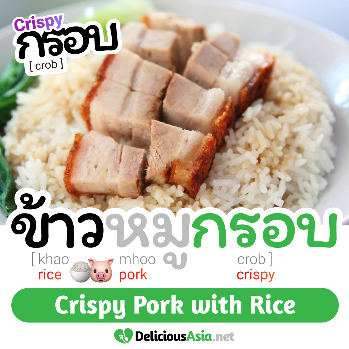 Crispy Pork with Rice - Khao Mhoo Crob