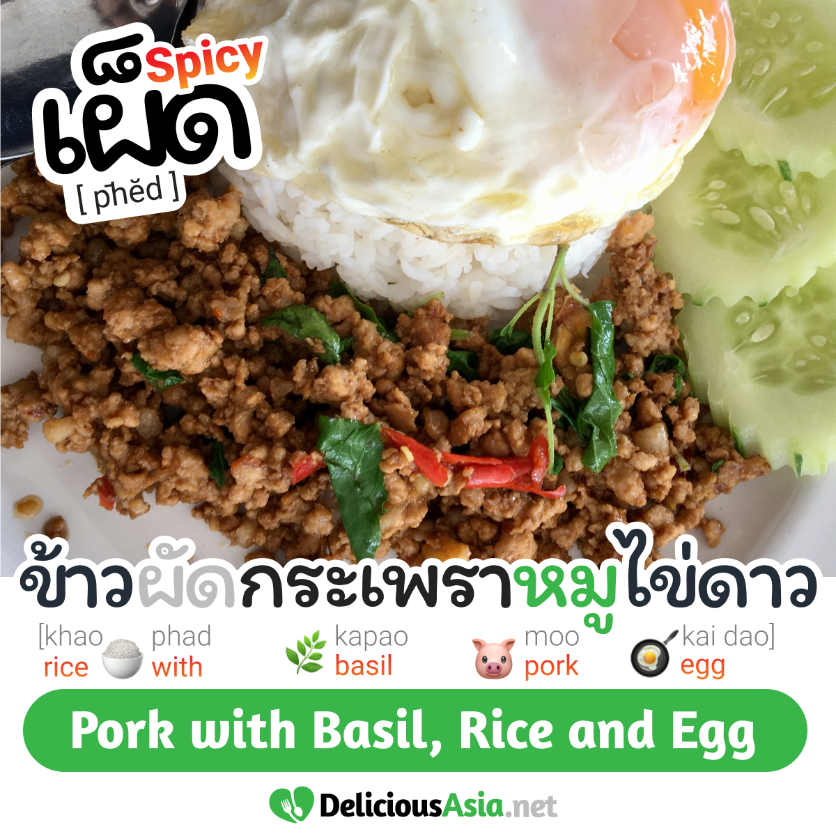 Rice with Thai Basil Pork and Egg